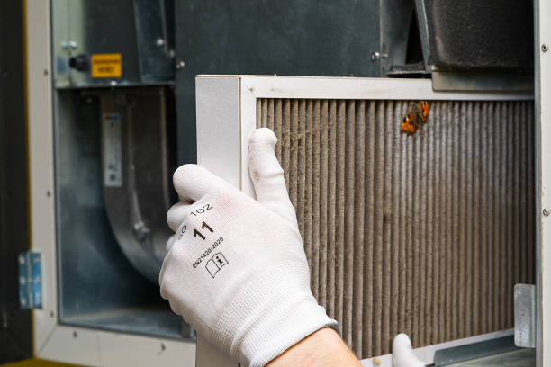 Best Affordable HVAC Duct Cleaning  in Canton, MS