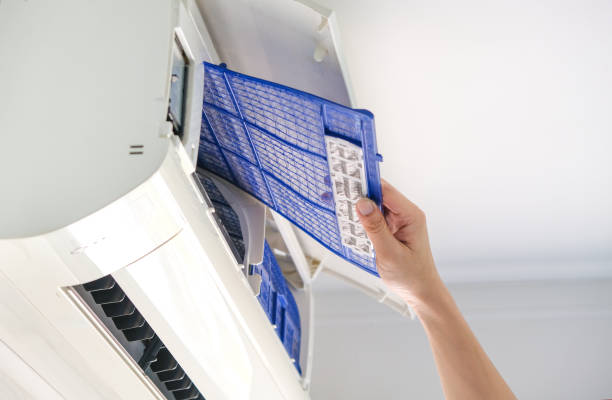 Best Professional Duct Cleaning Services  in Canton, MS